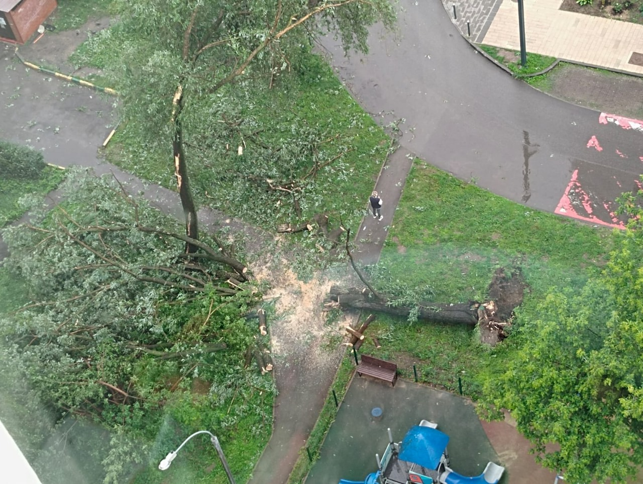 Consequences of today's storm in Moscow. The tree falling was caught on video. (06/20/2024) - Moscow, Youtube, Storm, Hurricane, Kuntsevo, Tree, Element, Video monitoring, Video, Longpost