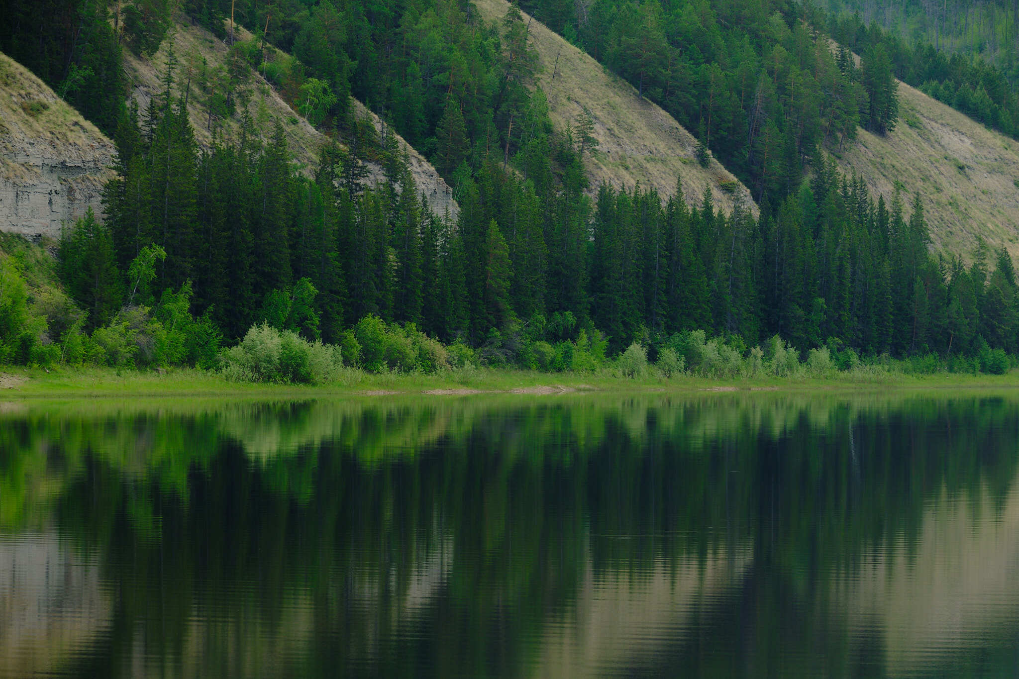 Reserve Lena Pillars, Yakutia - My, Landscape, Siberia, Forest, Reserves and sanctuaries, Lena Pillars, Russian Geographical Society, Yakutia, Travels, Longpost