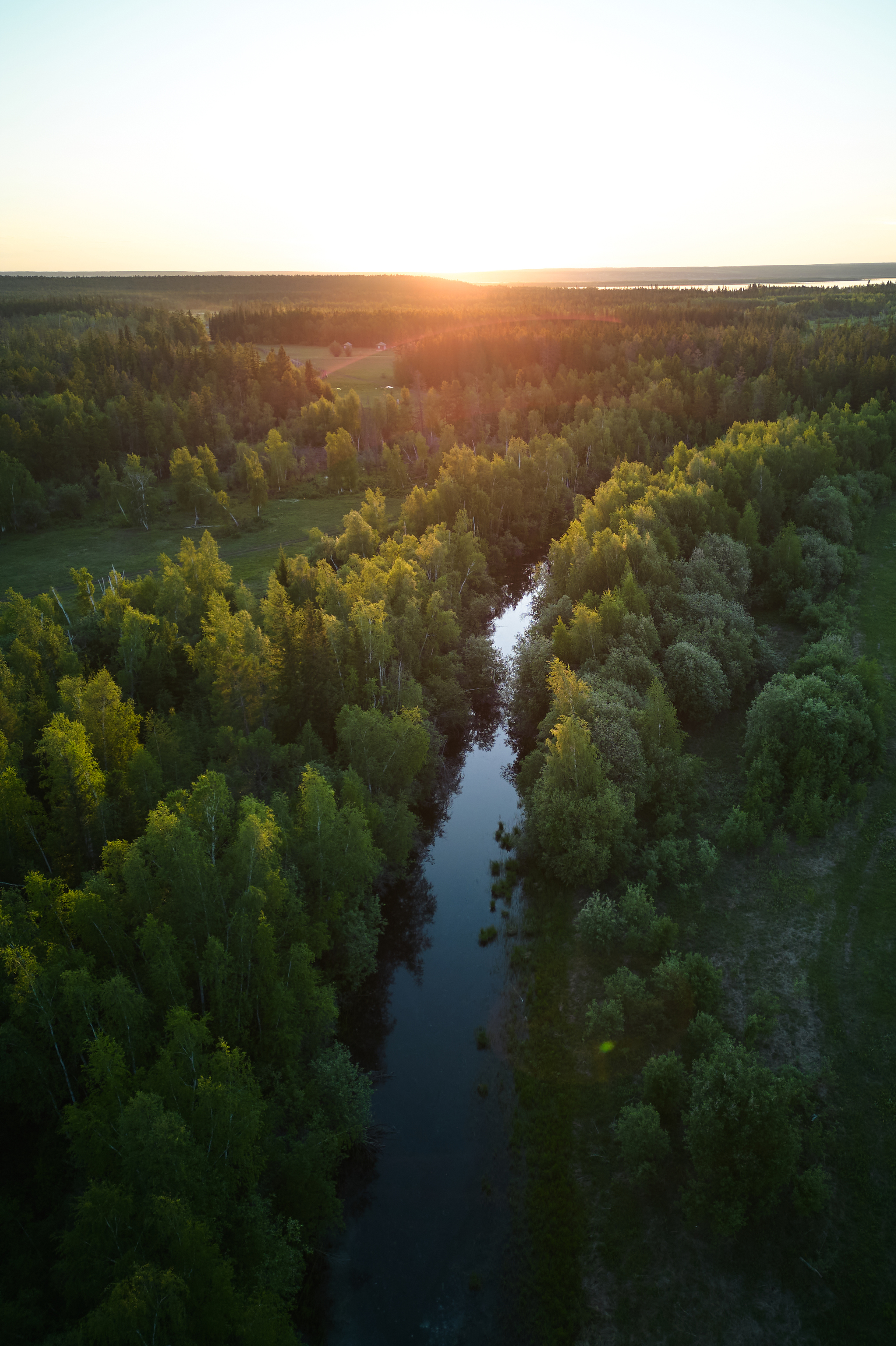 Reserve Lena Pillars, Yakutia - My, Landscape, Siberia, Forest, Reserves and sanctuaries, Lena Pillars, Russian Geographical Society, Yakutia, Travels, Longpost