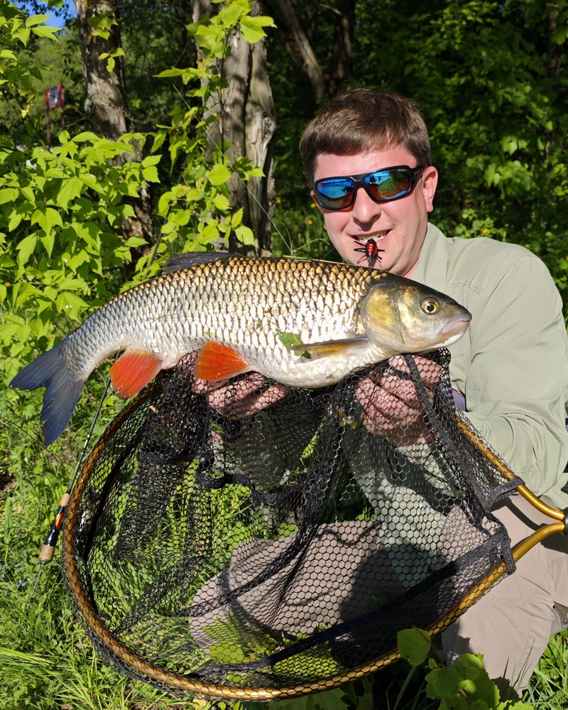 Paras the Moscow River! - My, Nature, Hobby, Moscow, Moscow River, Fishing, Hunting, Vertical video, The photo, Trophy, Жуки, The nature of Russia, Russia, Relaxation, Leisure, River, Water, To be continued, Video, Longpost