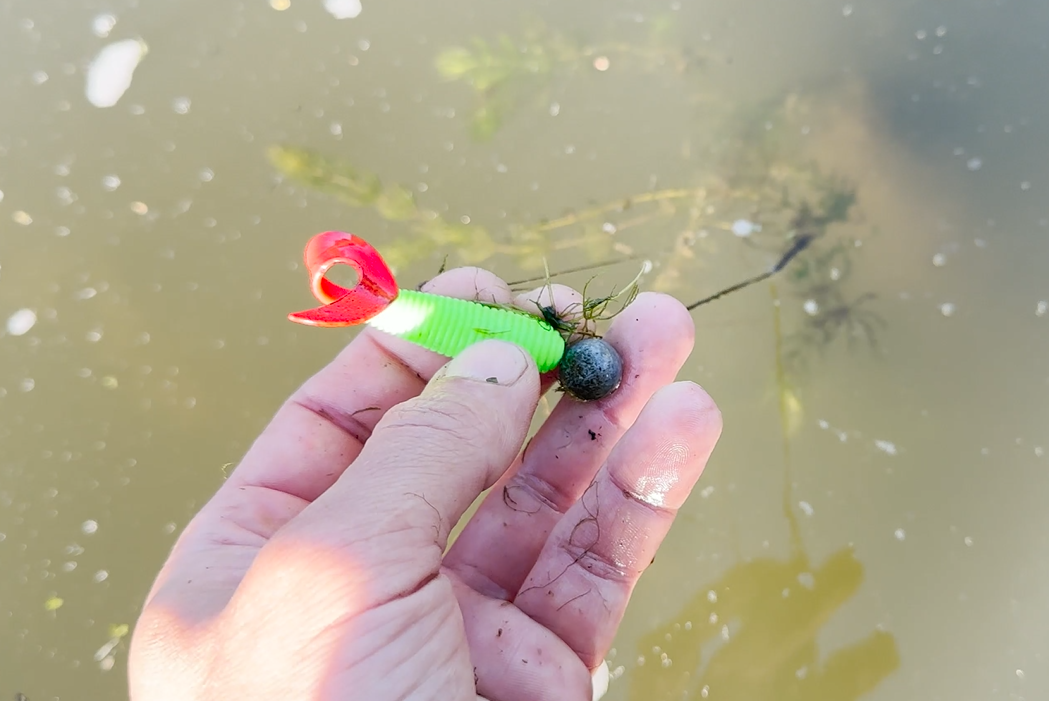 You can find a lot of interesting things in a swamp even without a metal detector. - My, Find, Search, Swamp, Longpost