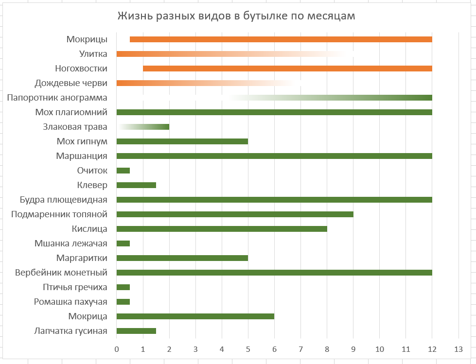 Битва растений в бутылке - первый год окончен успешно! - Моё, Растения, Эксперимент, Биология, Соревнования, Длиннопост, Научпоп, Видео, Вертикальное видео, Флорариум