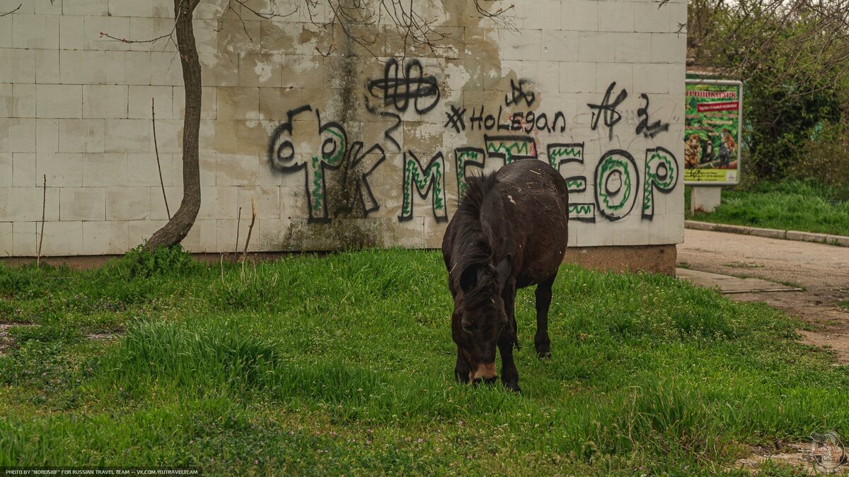 A half-abandoned park straight from the USSR in Yevpatoria - My, Travels, sights, Abandoned, Local history, The photo, Longpost