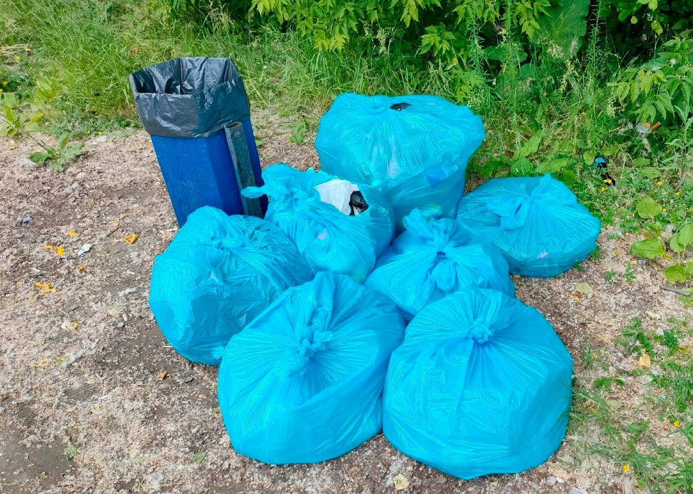 What kind of trash is most in the park? - My, Garbage, Cleaning, Chistoman, Chelyabinsk, Longpost