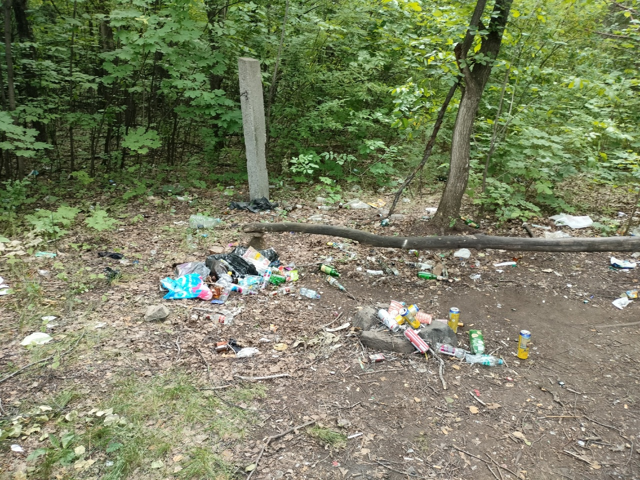 What kind of trash is most in the park? - My, Garbage, Cleaning, Chistoman, Chelyabinsk, Longpost