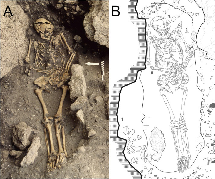 This woman was attacked several times and finally brutally murdered 8,500 years ago - My, Nauchpop, Research, The science, Murder, Scientists, Longpost, Negative