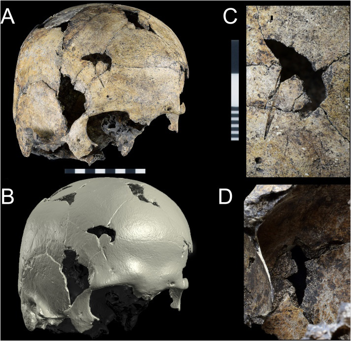 This woman was attacked several times and finally brutally murdered 8,500 years ago - My, Nauchpop, Research, The science, Murder, Scientists, Longpost, Negative