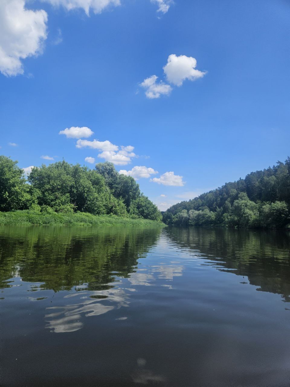 SUPER trek - My, SUPsurfing, Paddleboard, Walk, Moscow River, Leisure, Longpost, Mobile photography, Nature, River