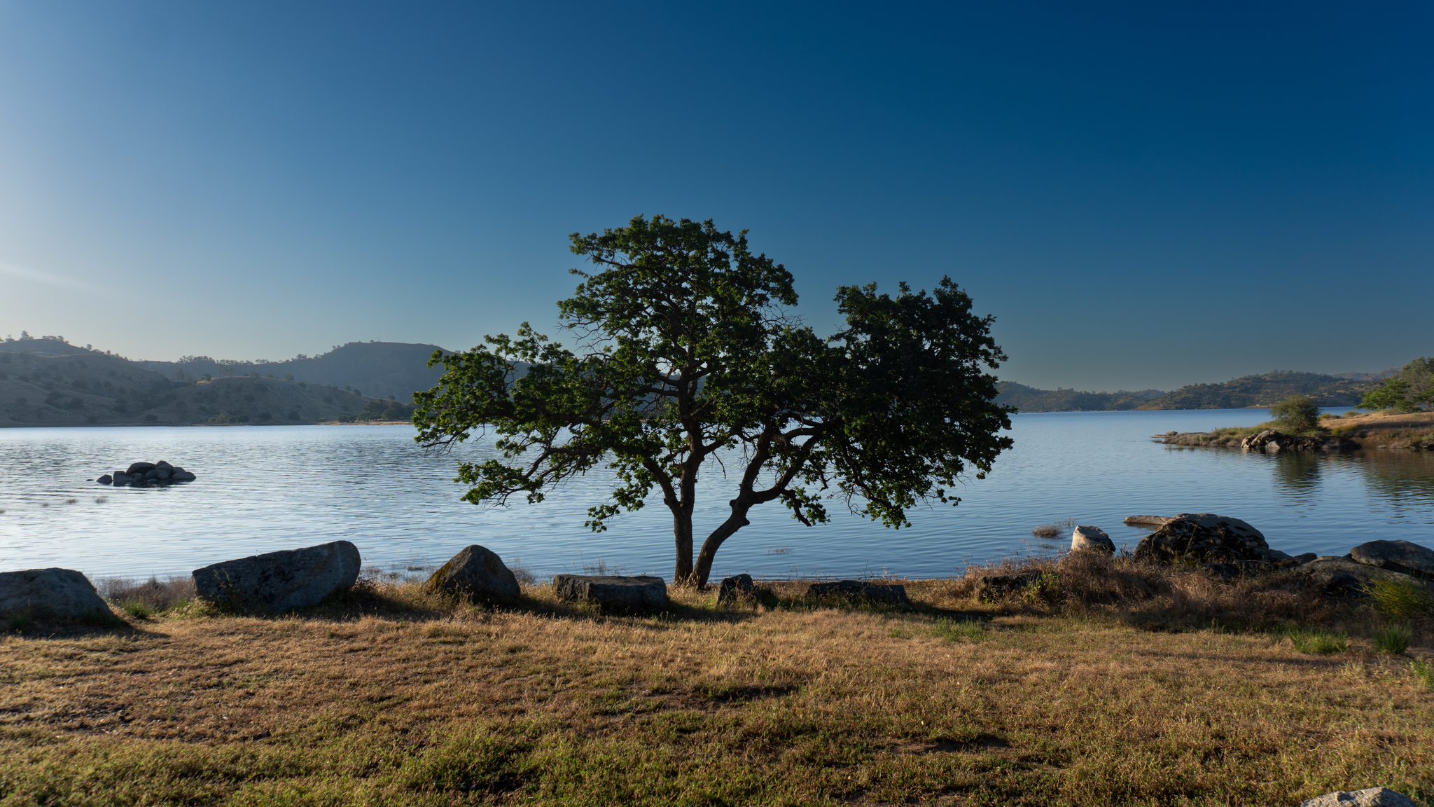 Camping in California - Millerton Lake - My, Relocation, Living abroad, Emigration, USA, California, Nature, The americans, Travels, Video, Vertical video, Longpost, The photo