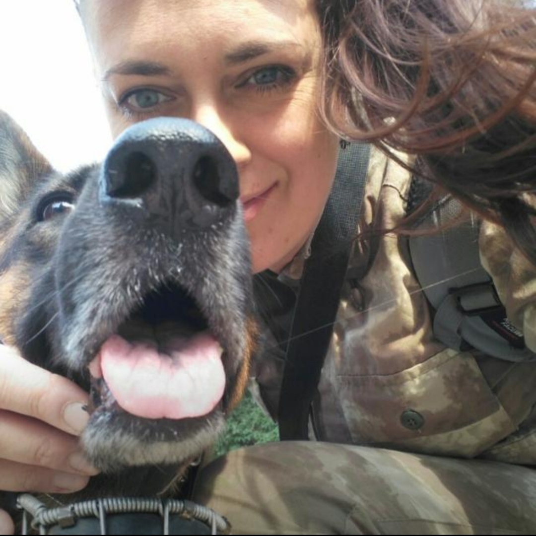 Happy Dog Handler's Day to all involved! - My, Dog, Cynology, Dog Handler's Day, Work, Caucasus, German Shepherd