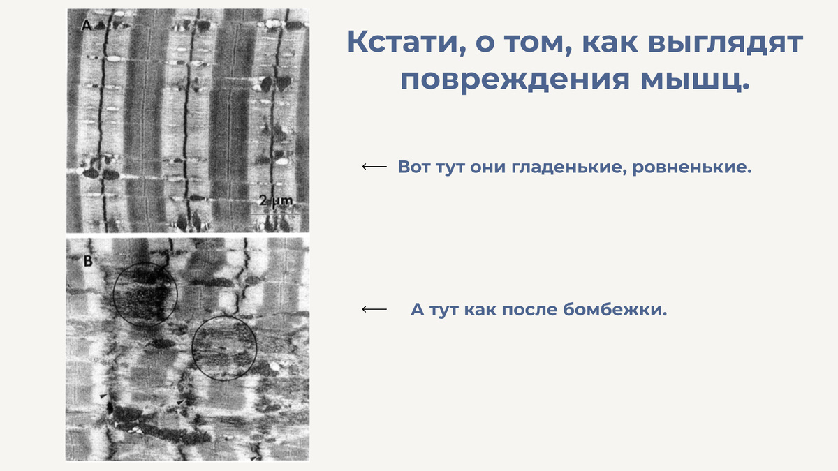 Сколько подходов в неделю тебе действительно надо? | Пикабу