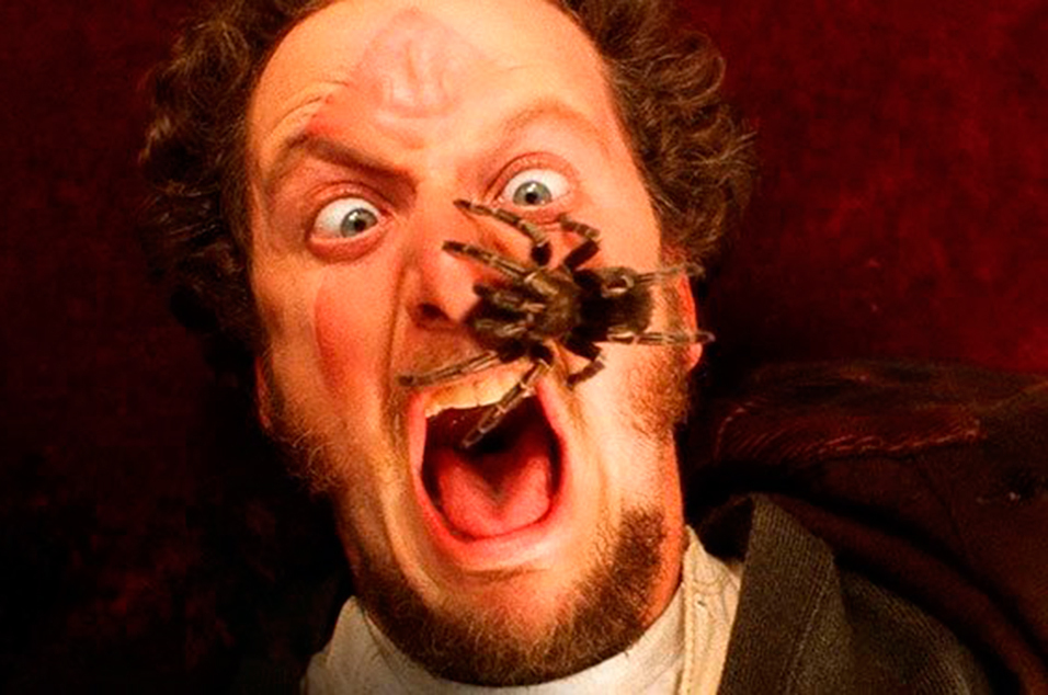 Daniel Stern repeated the scene with the spider from the movie Home Alone many years later - Hollywood, Actors and actresses, Daniel Stern, Home Alone (Movie), Movies, Longpost, Spider