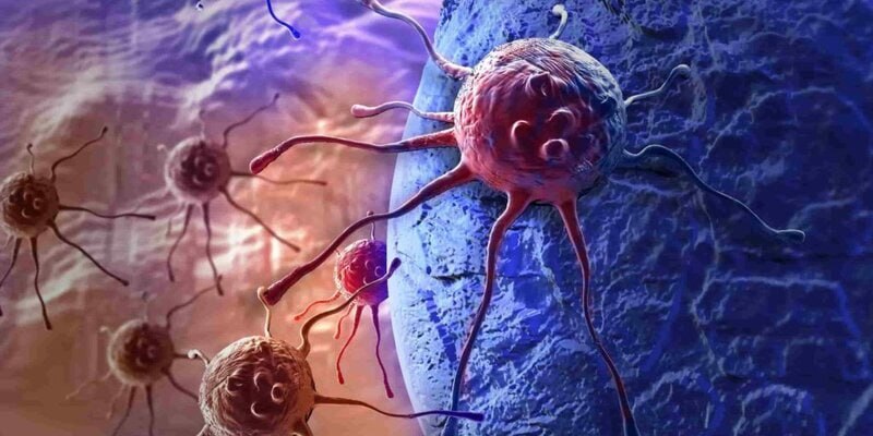 A revolutionary cancer vaccine has been successfully tested in Russia - Cancer and oncology, Vaccine, Telegram (link)