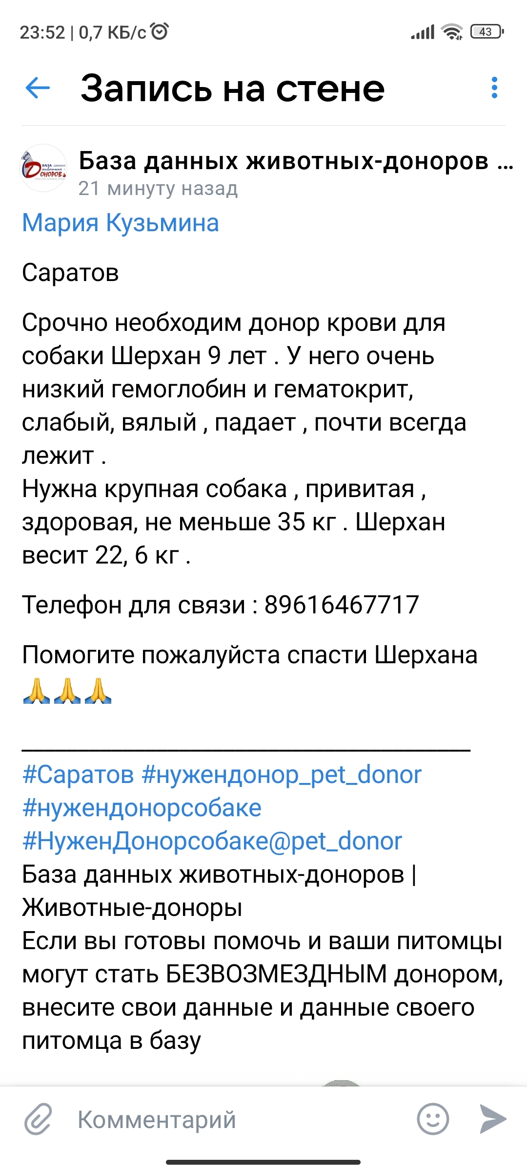 Saratov. We urgently need a donor dog over 35 kg - No rating, Saratov, Dog, Donor, Helping animals, Longpost, Donation