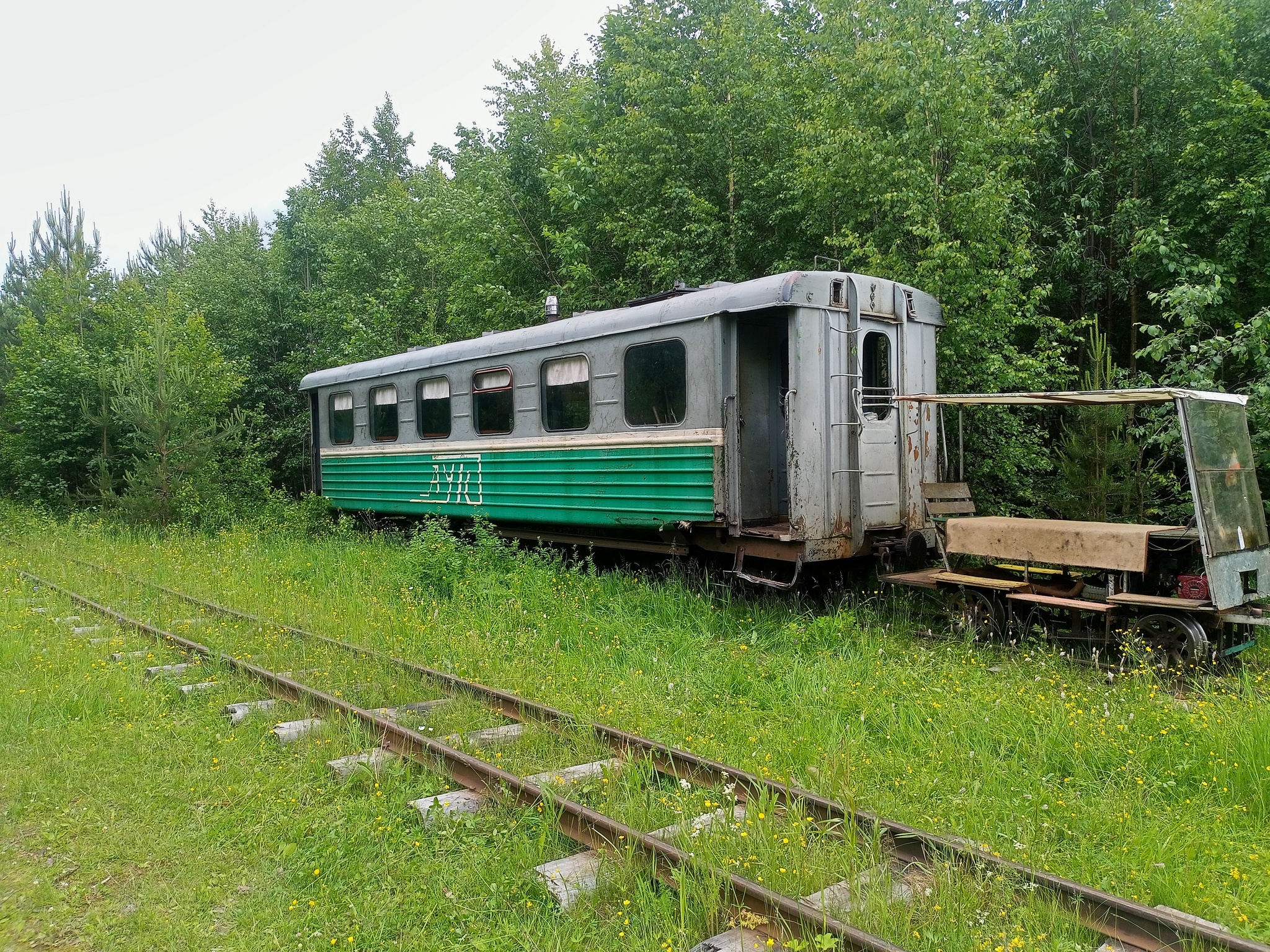 Along Avnyuzhskaya Uzhd - My, Railway, Mobile photography, Video, Vertical video, Narrow gauge, Arkhangelsk region