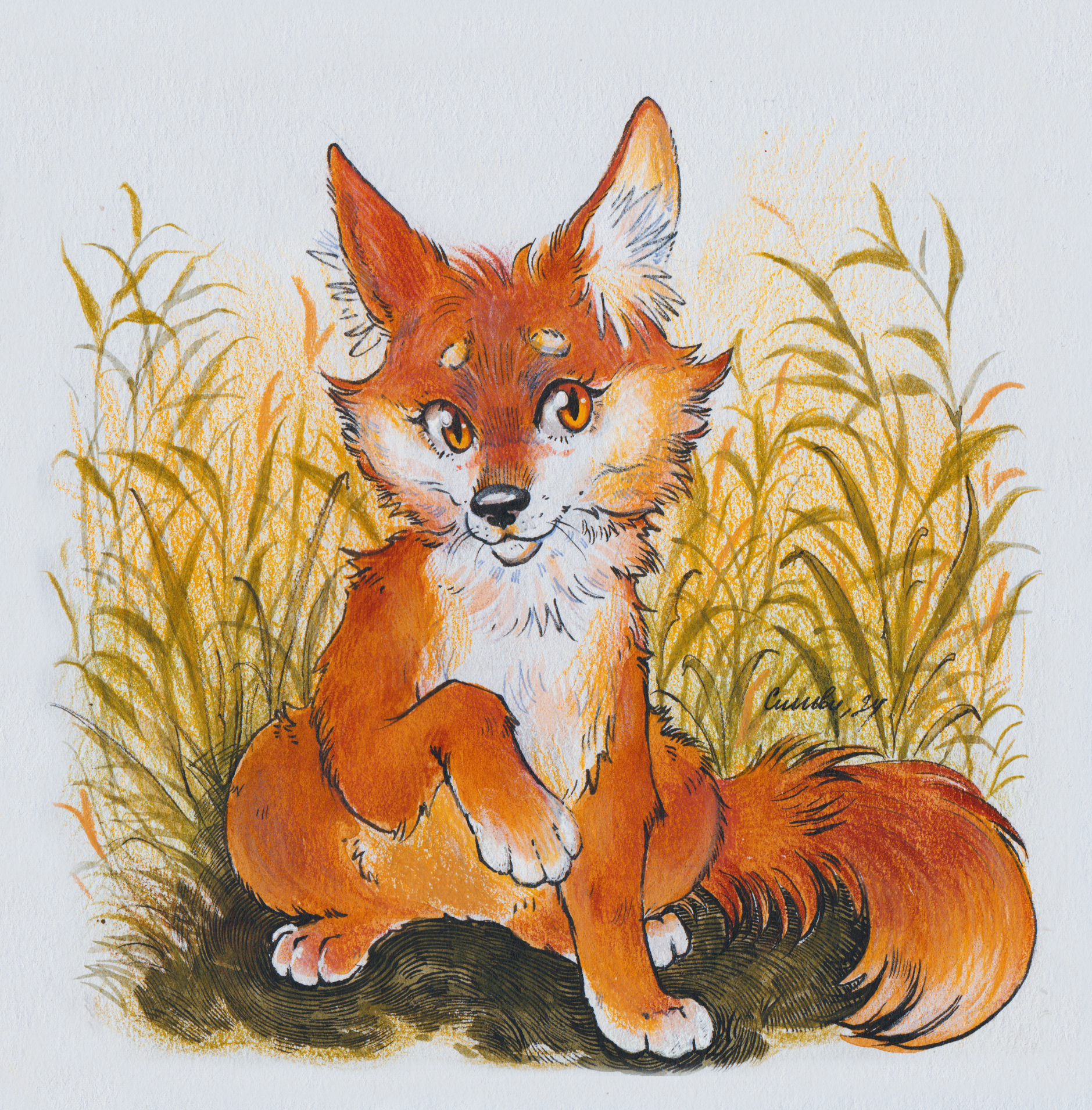 Animals - My, Drawing, Colour pencils, Illustrations, Pencil drawing, Sketchbook, Fox, Hare, cat, Squirrel, Dog, Longpost