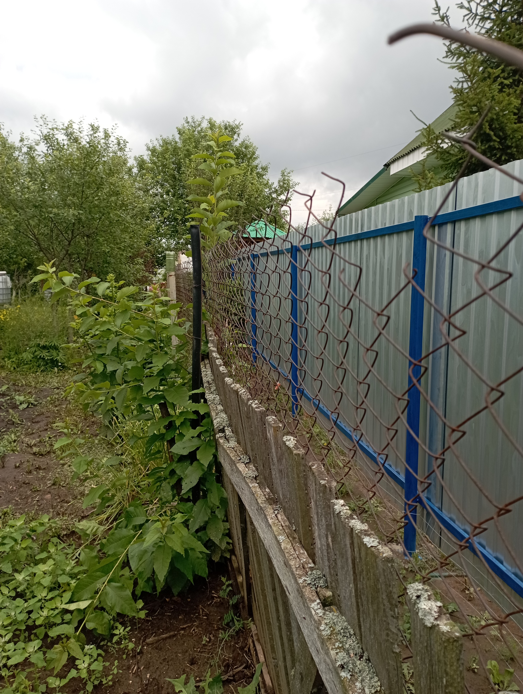 We did! - My, Fence, Neighbours, Dacha, Longpost