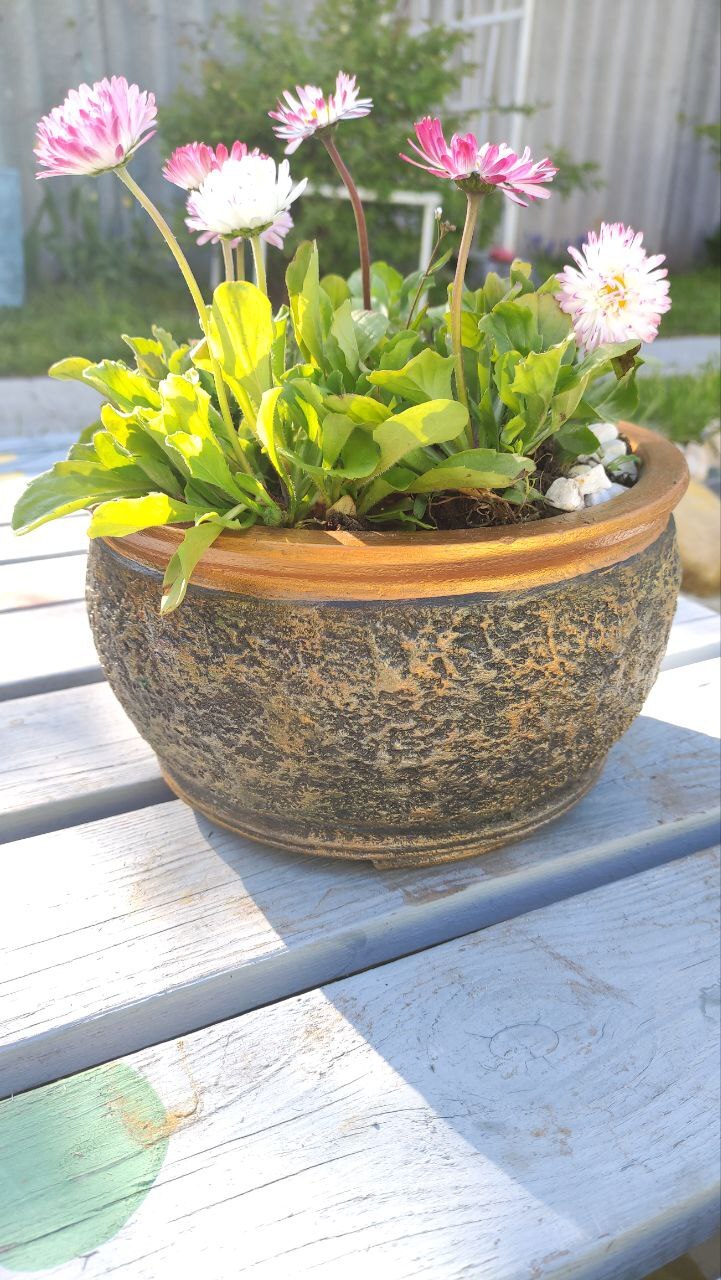 A little gold for your feed - Decor, Flowers, Design, Plant pot, Concrete products, Concrete, Architectural concrete, Art concrete, Flower pot, Dacha, Interior, Exterior, Crafts, Furniture, Telegram (link), Longpost