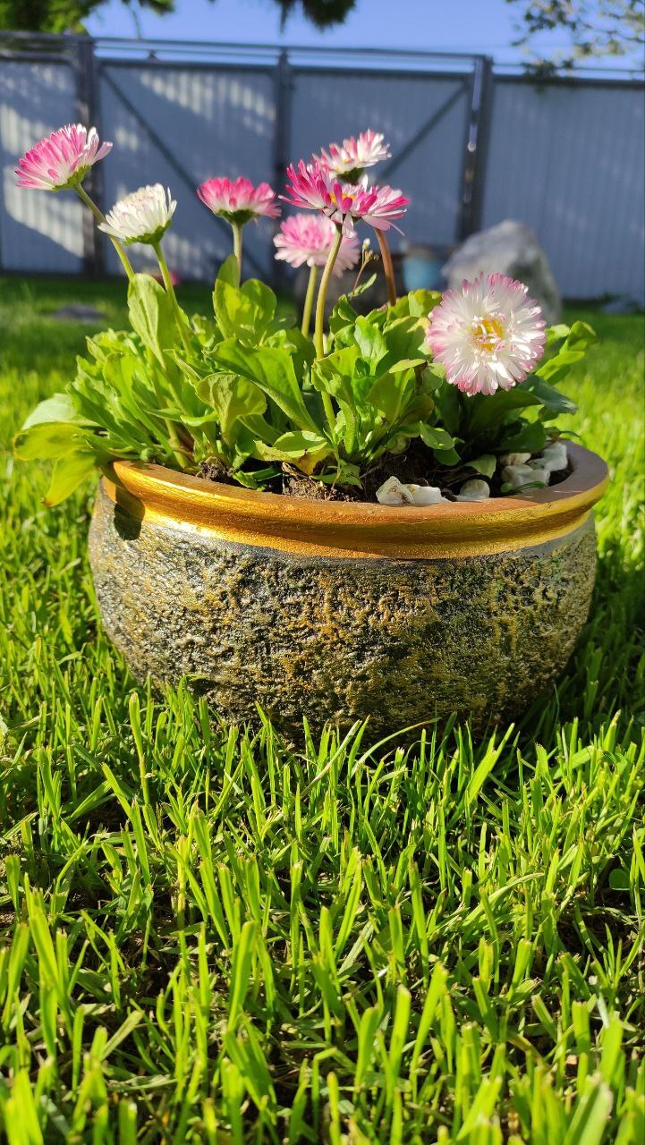 A little gold for your feed - Decor, Flowers, Design, Plant pot, Concrete products, Concrete, Architectural concrete, Art concrete, Flower pot, Dacha, Interior, Exterior, Crafts, Furniture, Telegram (link), Longpost