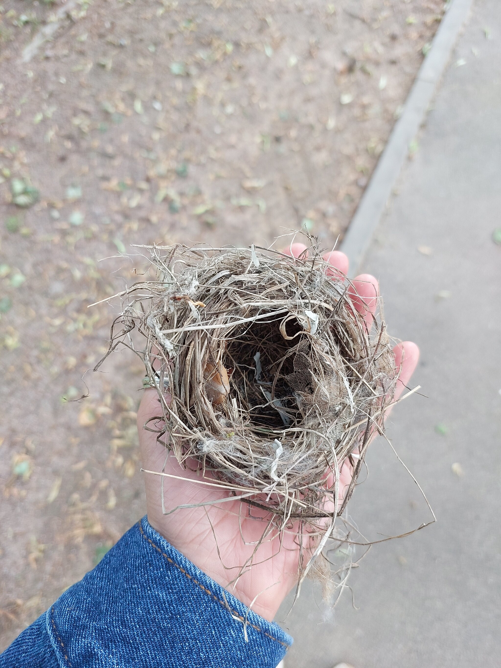 Help me identify whose nest it is, please - My, Nest, Question, Find, Text, Longpost