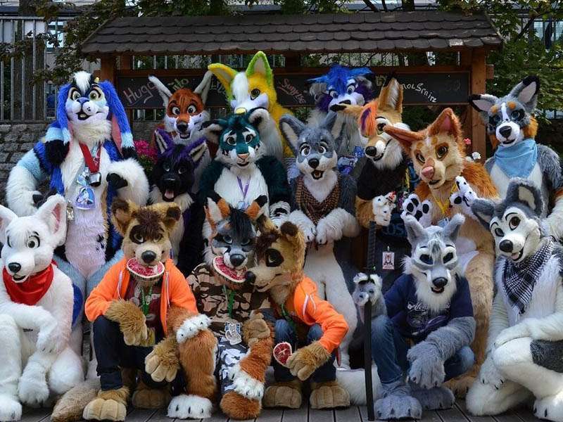 The dark truth about furries - My, Furry, Truth, Fake, Parents, Useful, Fluffy, Longpost, LGBT