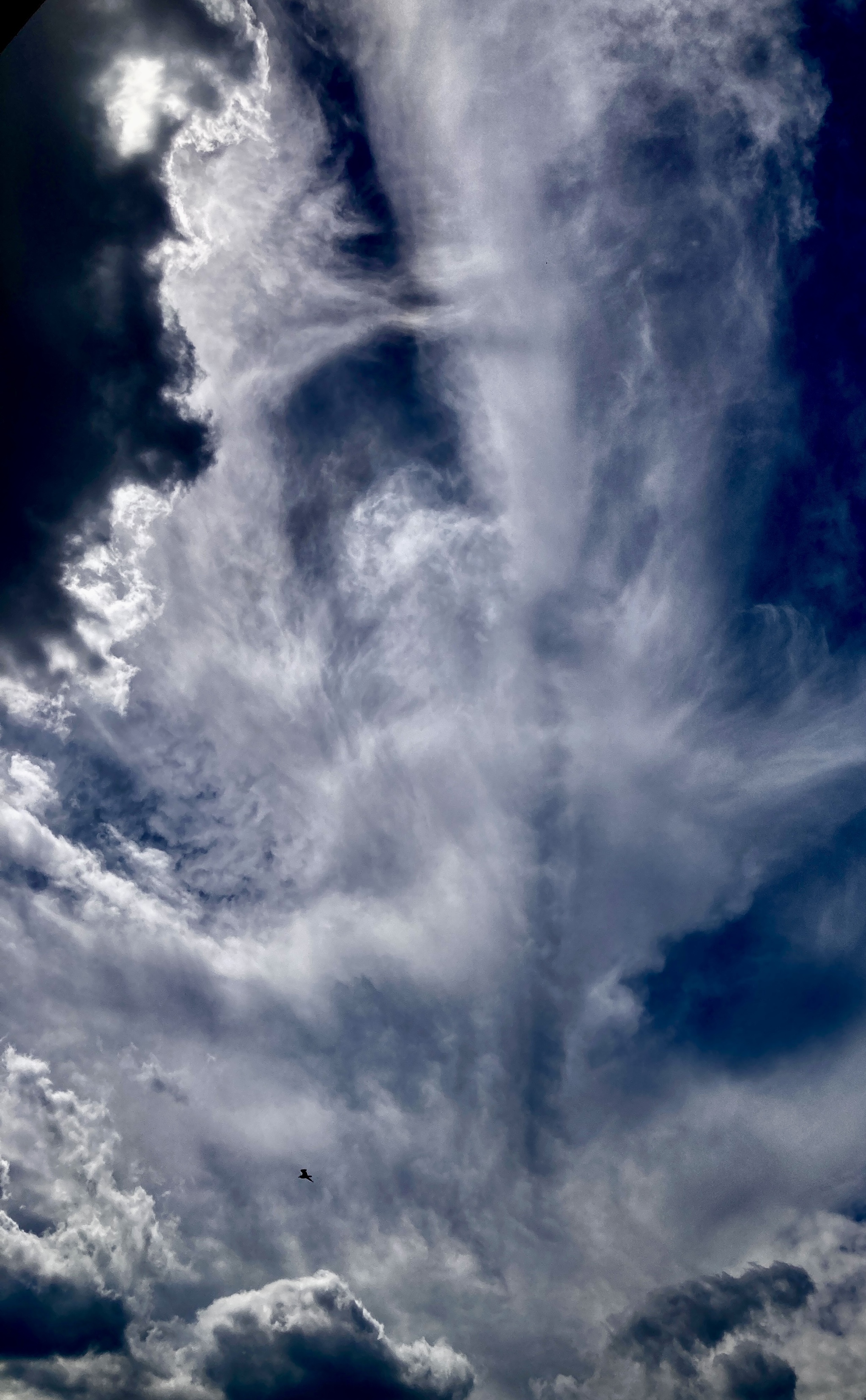 Moscow sky for 06/23/2024 - Moscow, Walking around Moscow, Sky, Weekend, Clouds, Cirrus clouds, City walk, Town, Urban fantasy, Urban environment, Inversion, Gum, Relaxation, Coffee, Longpost