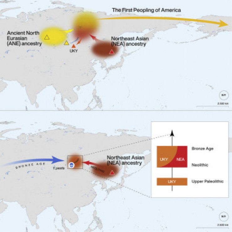 Continuation of the post “Ambassador Zhang Hanhui: How can the United States, which committed genocide of Indians, talk about democracy and human rights?” - USA, Genocide, Indians, The crime, Longpost, Reply to post