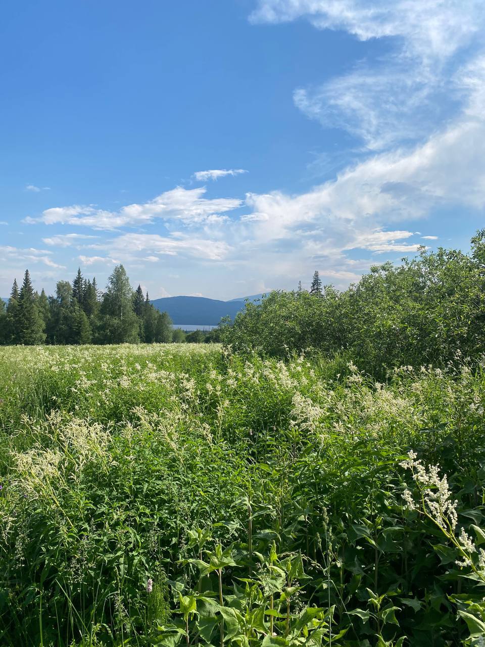 Zuratkul Fest (Фото-видео-отчет) - Моё, Урал, Путешествие по России, Туризм, Видео вк, Горный туризм, Челябинская область, Бег, Семья, Видео, Длиннопост