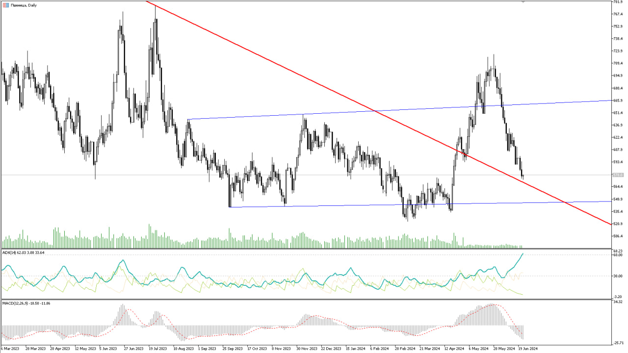 Analytics of financial markets 06/24/2024 - My, Trading, Investments, Bonds, Dividend, Stock, Currency, Ruble, Central Bank of the Russian Federation, A crisis, Dollars, Longpost