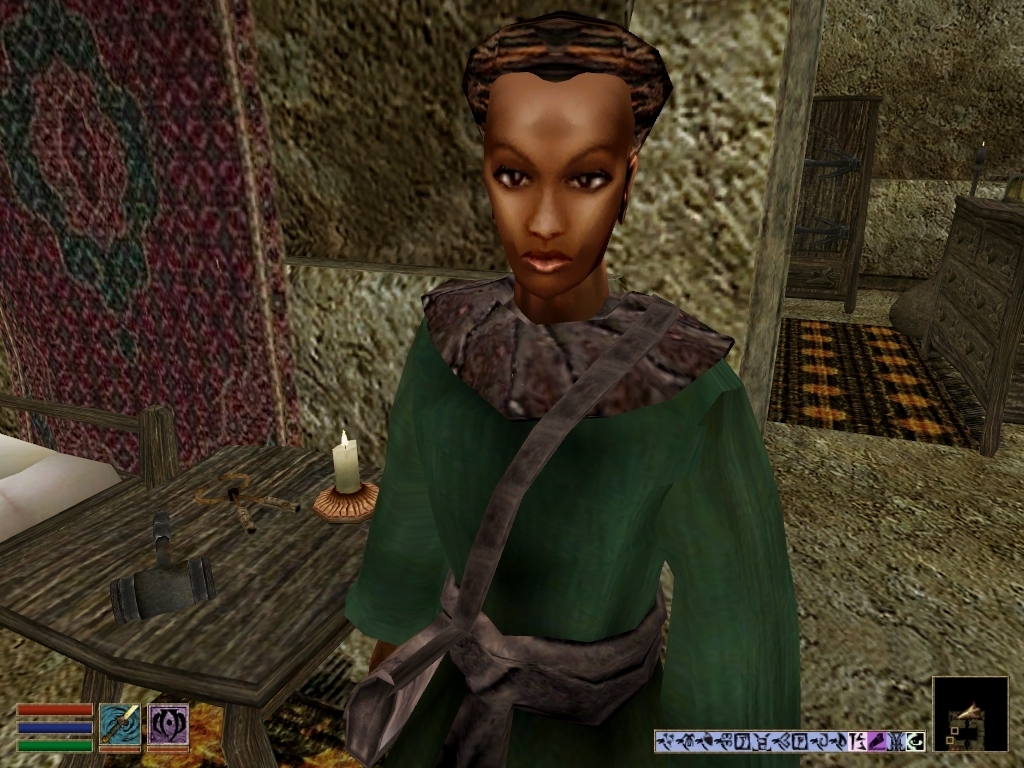 Senyndie - My, Bethesda, The elder scrolls, The Elder Scrolls III: Morrowind, RPG, Tamriel, Vvardenfell, Redguards, Nostalgia, Screenshot