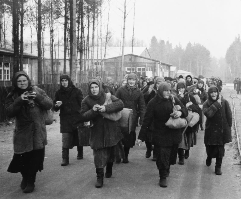 How the “evil NKVD” shot “10,000 Ostarbeiter girls” in 1945 or the Ukrainian myth about the “Stalluppen tragedy” - My, History (science), Myths, Reality, Cranberry, Politics, Propaganda, Longpost, Fact-checking