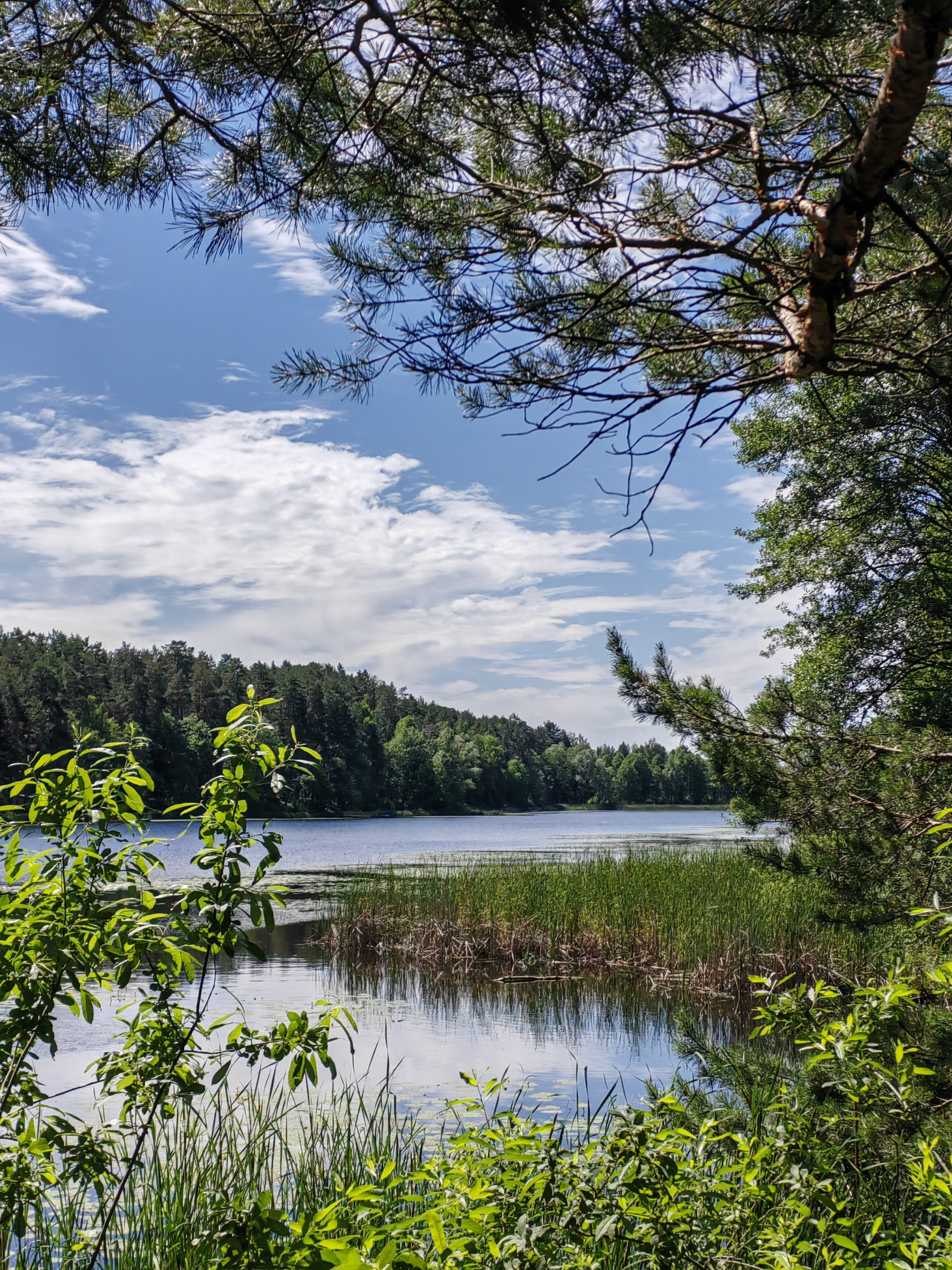 We're gathering hikers! - My, Hike, Like-minded people, Tent, Cheboksary, Longpost, Travels, Chuvashia, Travelers, Camping, Acquaintance