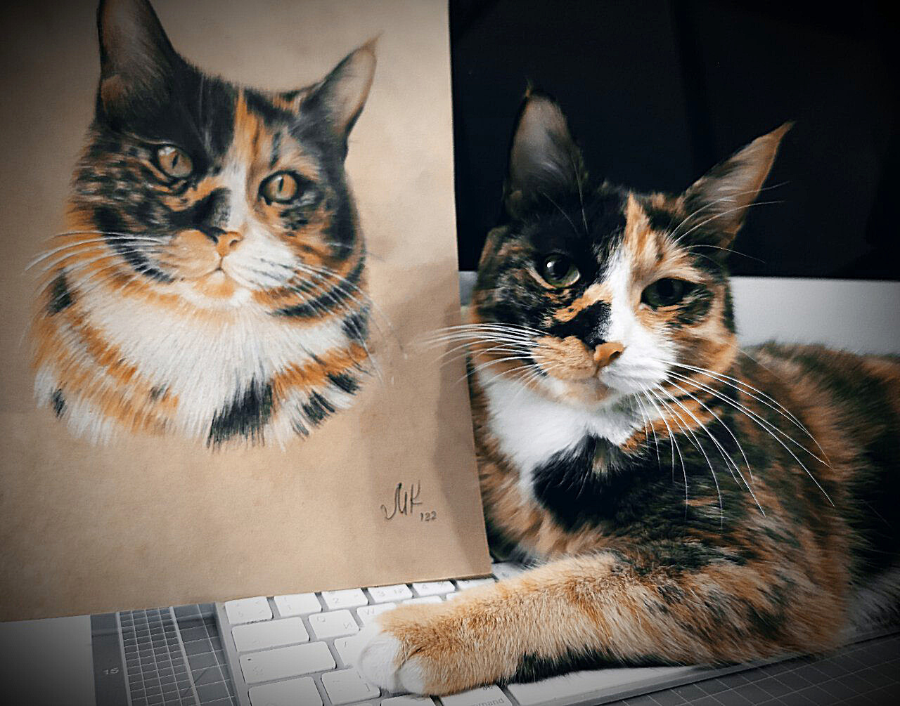 Customer with his portrait - My, cat, Portrait, Pencil drawing, Drawing, Colour pencils, Artist, Pets, Tricolor cat, Portrait by photo