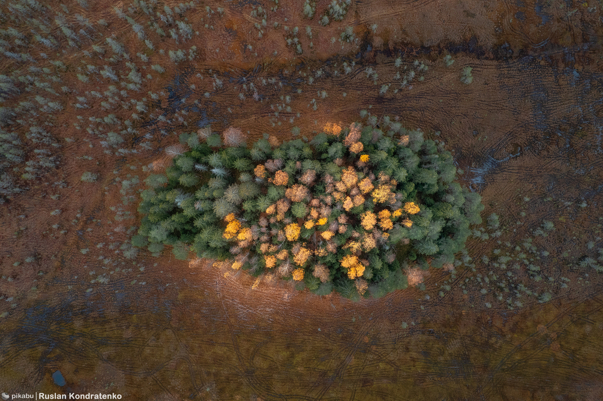 Островское болото сверху - Моё, Фотография, DJI, Аэросъемка, Болото, Длиннопост