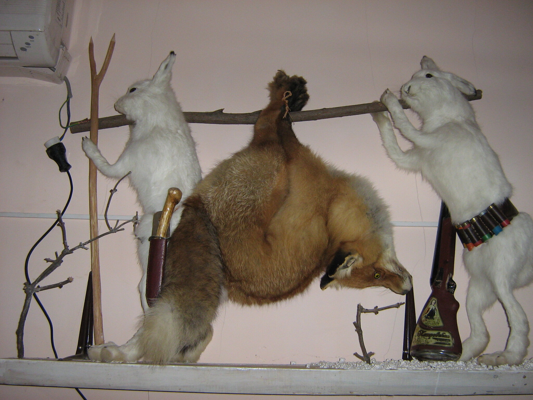 Creativity of the Perm region - My, Travels, Permian, Hunting, Creation, Taxidermy