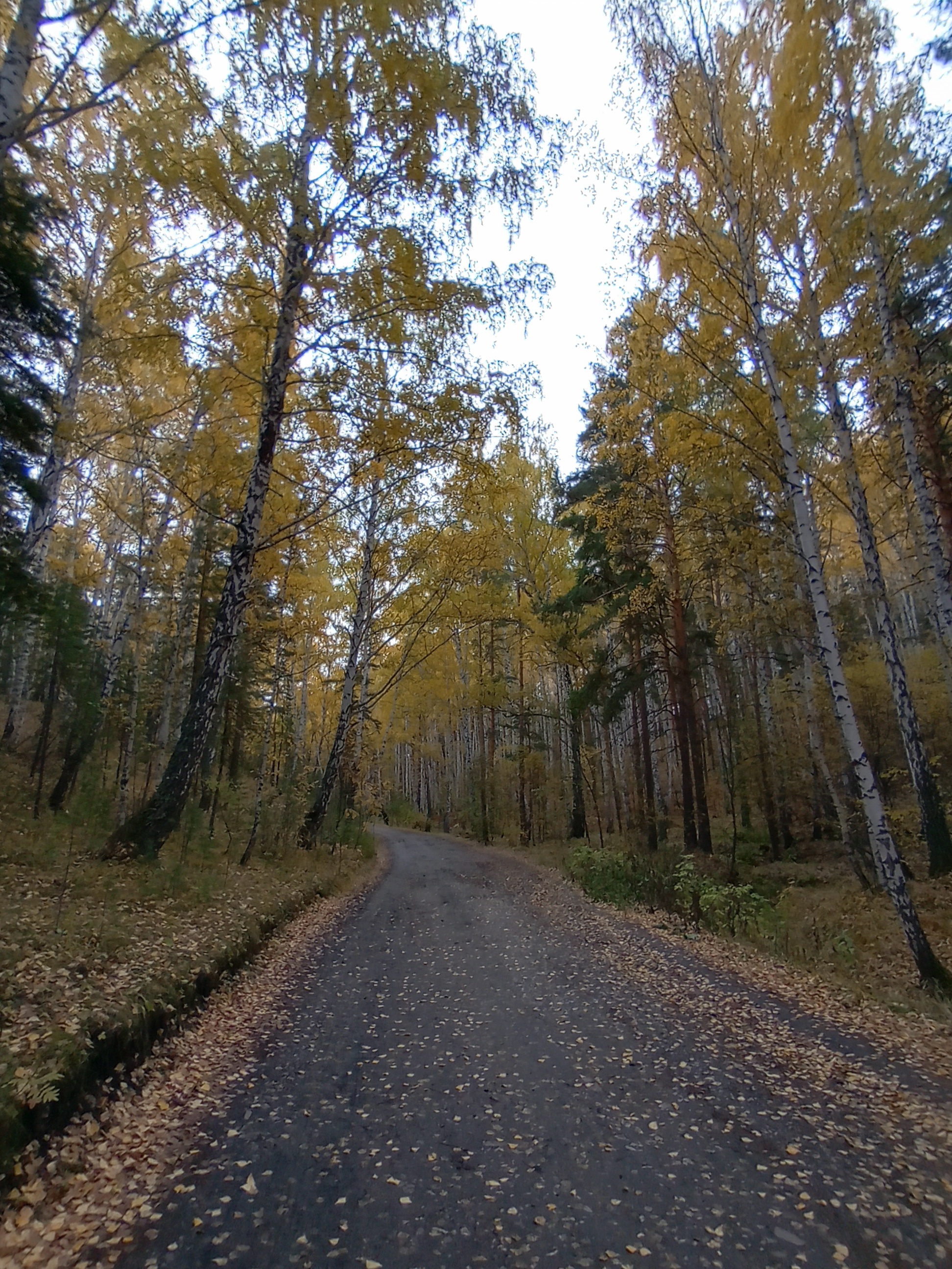 On the way to Sugomak - My, The photo, Mobile photography, Nature, Longpost