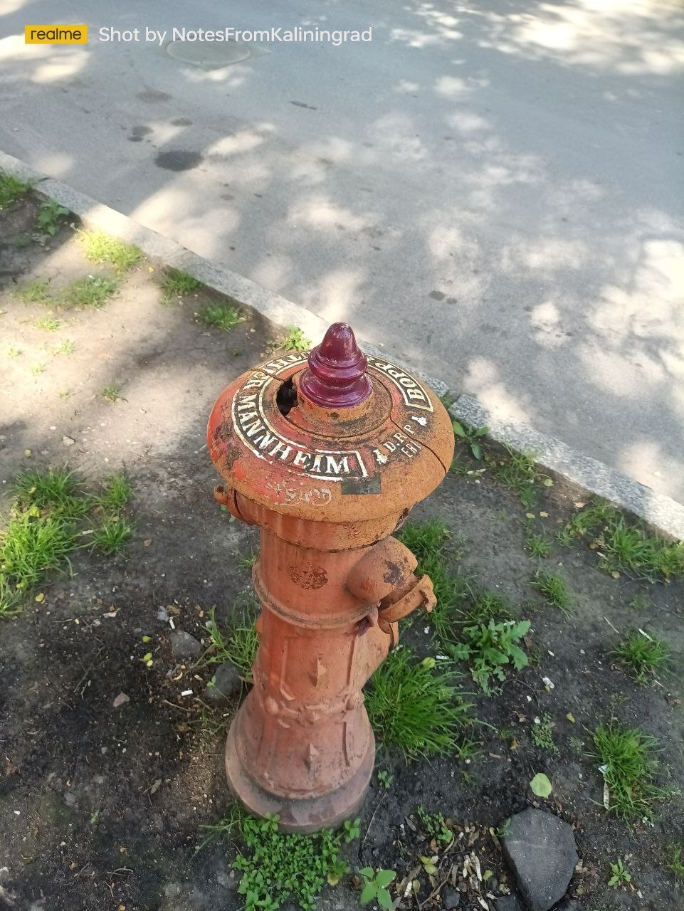 Hydrant as a separate art form - My, Hydrant, Art, Kaliningrad region, City walk, Street photography, Kaliningrad, Longpost