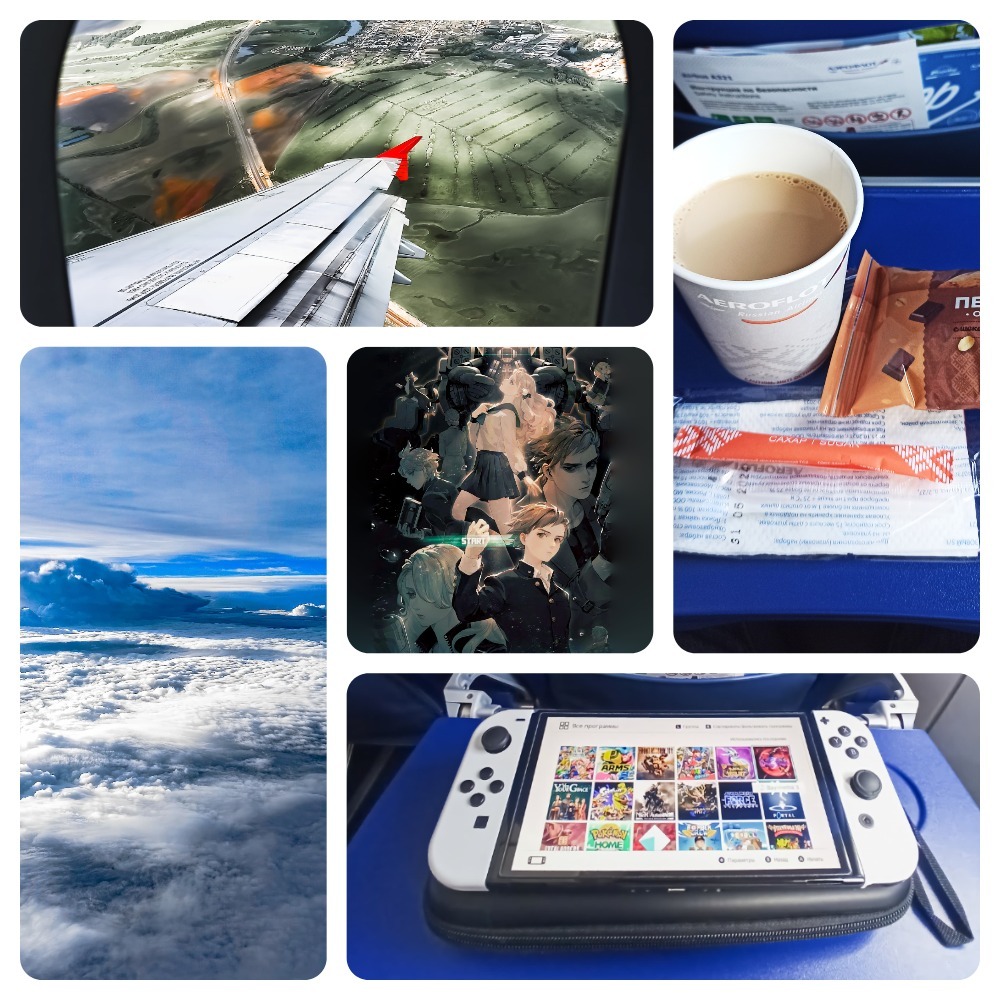 One day on the road: work, games and pleasant moments - My, Flight, Nintendo switch, Business trip, Mobile photography, Longpost