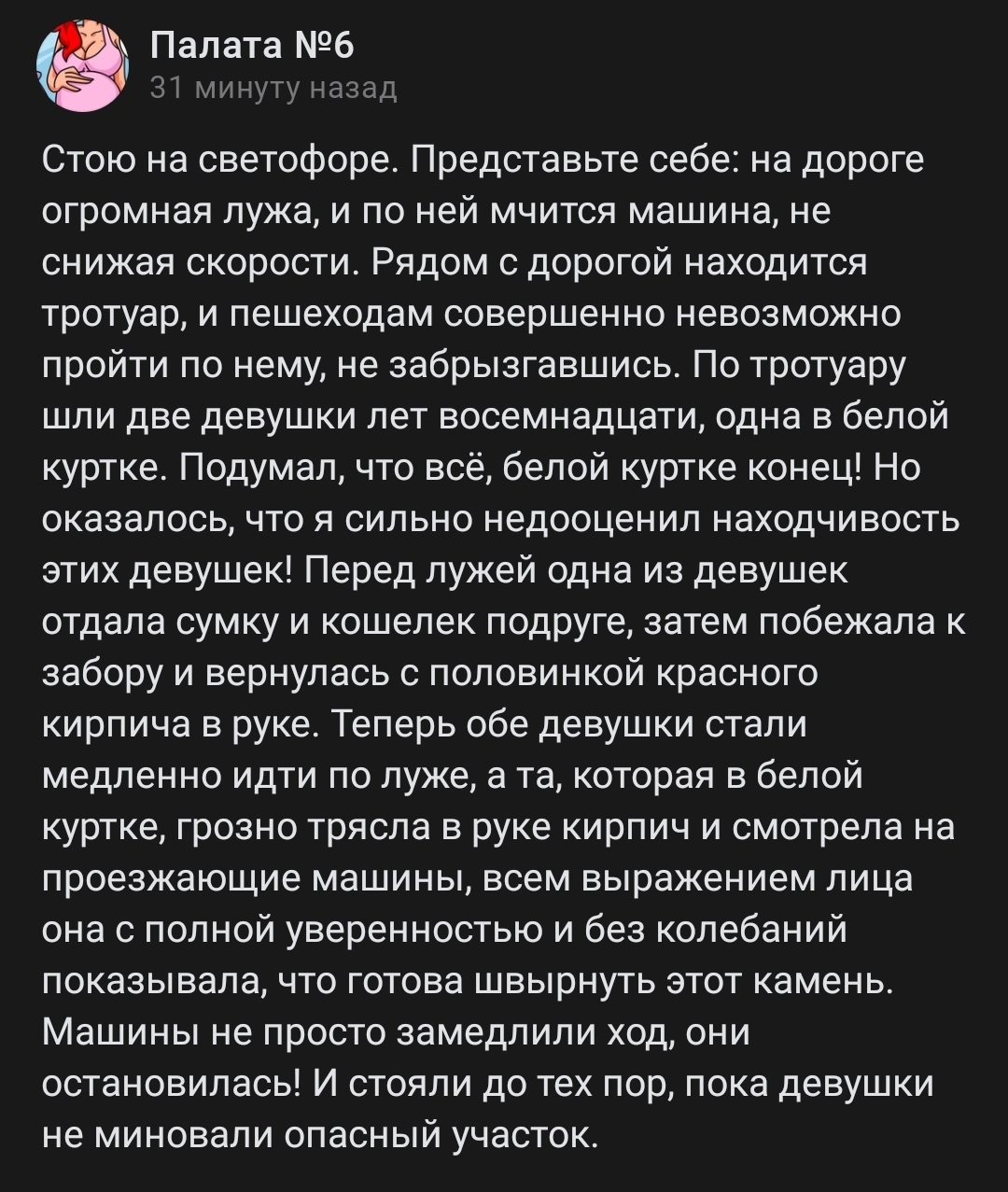 Пешеходный лайфхак - Пешеход, Лужа, Кирпичи, Скриншот, Палата №6