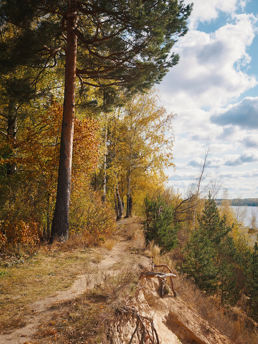 Over the cliff - My, Clouds, The photo, Pine, Path, Autumn, Olympus