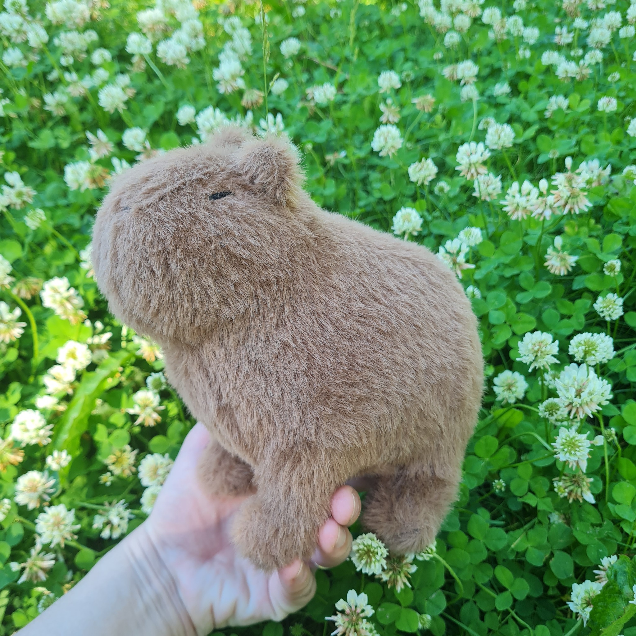Capybara Zen - My, Needlework without process, Capybara, Soft toy, Handmade, Longpost