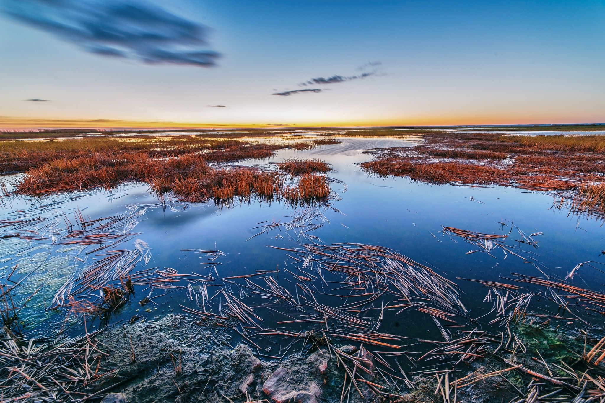 The Gulf of Finland - My, The photo, Street photography, The Gulf of Finland, Landscape