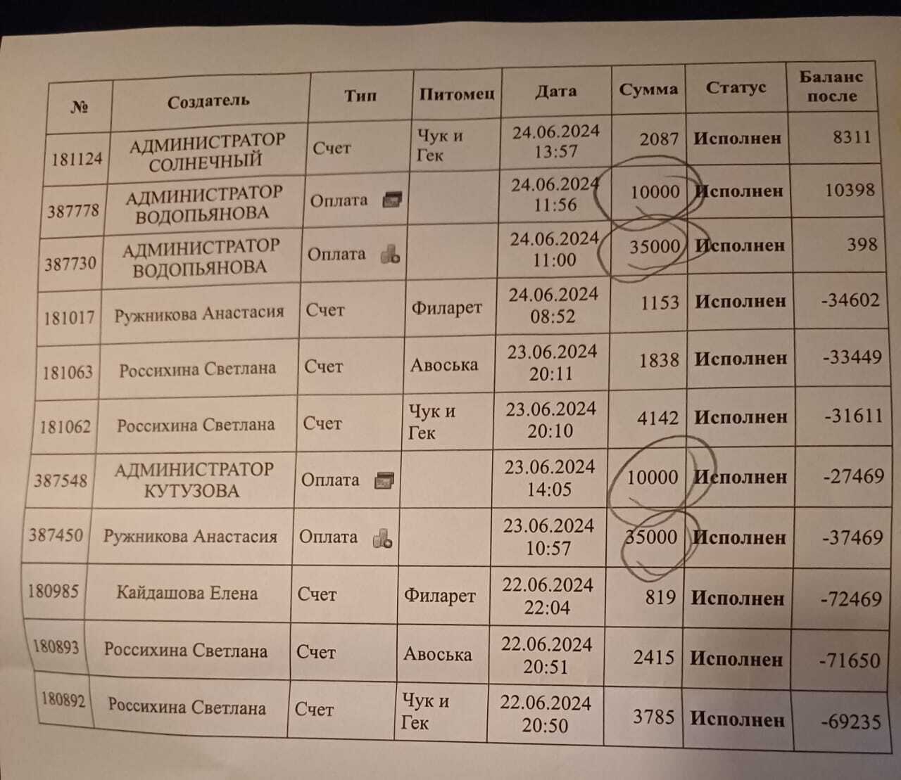 Помогите Молли! - Моё, Котята, Инфекция, Болезнь, Ветеринарная клиника, Спасение животных, Приют, Доброта, Вера в чудо, Помогаем, Молли, Красноярск, Кот, Видео, Длиннопост