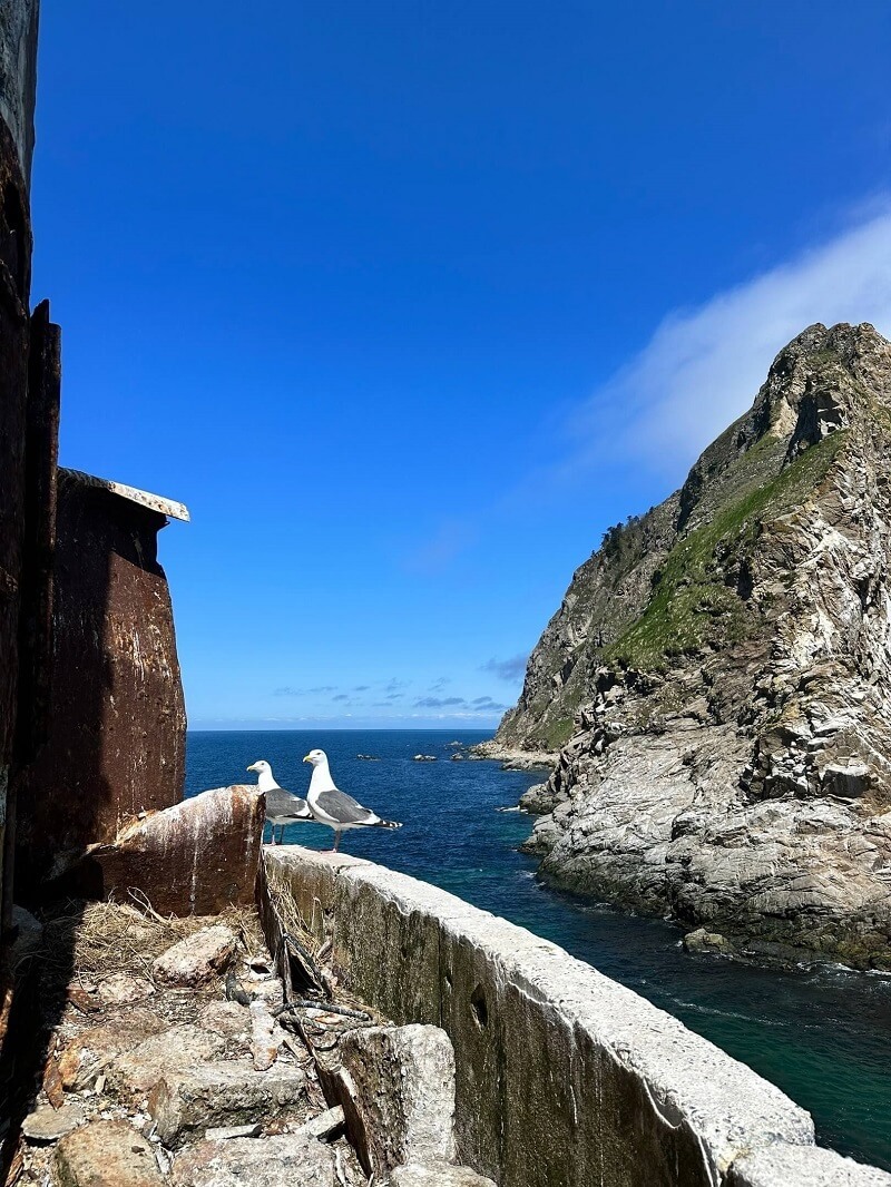 Aniva Lighthouse is the most inaccessible lighthouse of Sakhalin and Russia - Travels, Туристы, Tourism, Sakhalin, Lighthouse, Aniva Lighthouse, Russia, Drive, Island, Vacation, Route, Telegram (link), Yandex Zen (link), VKontakte (link), Longpost