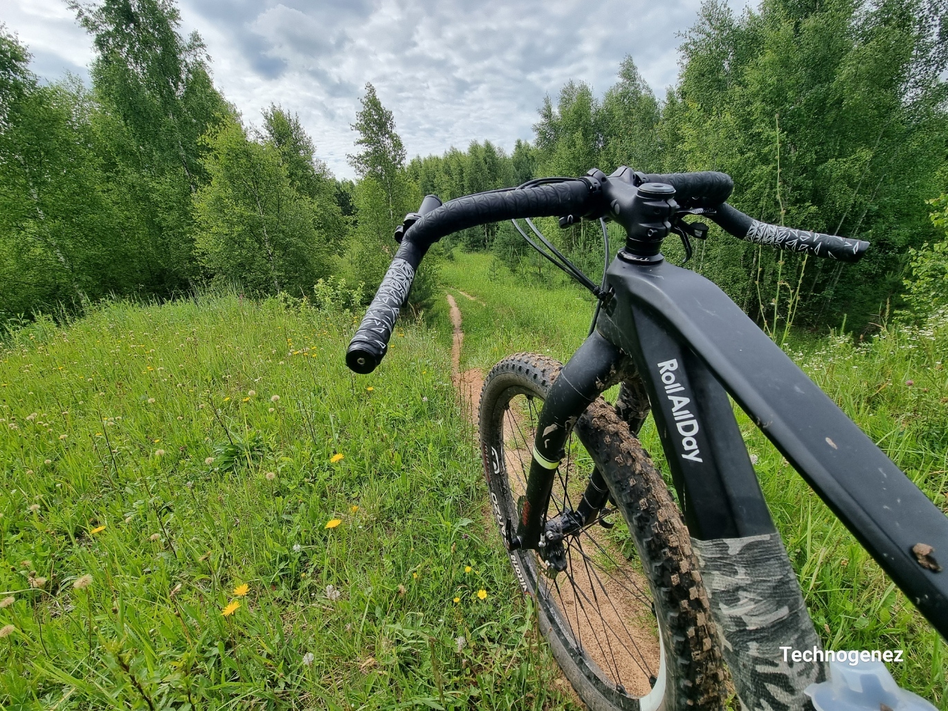 Morning forest ride - My, A bike, Pokatushki, Forest, Bike ride, Ice, Cyclist, The nature of Russia, Longpost