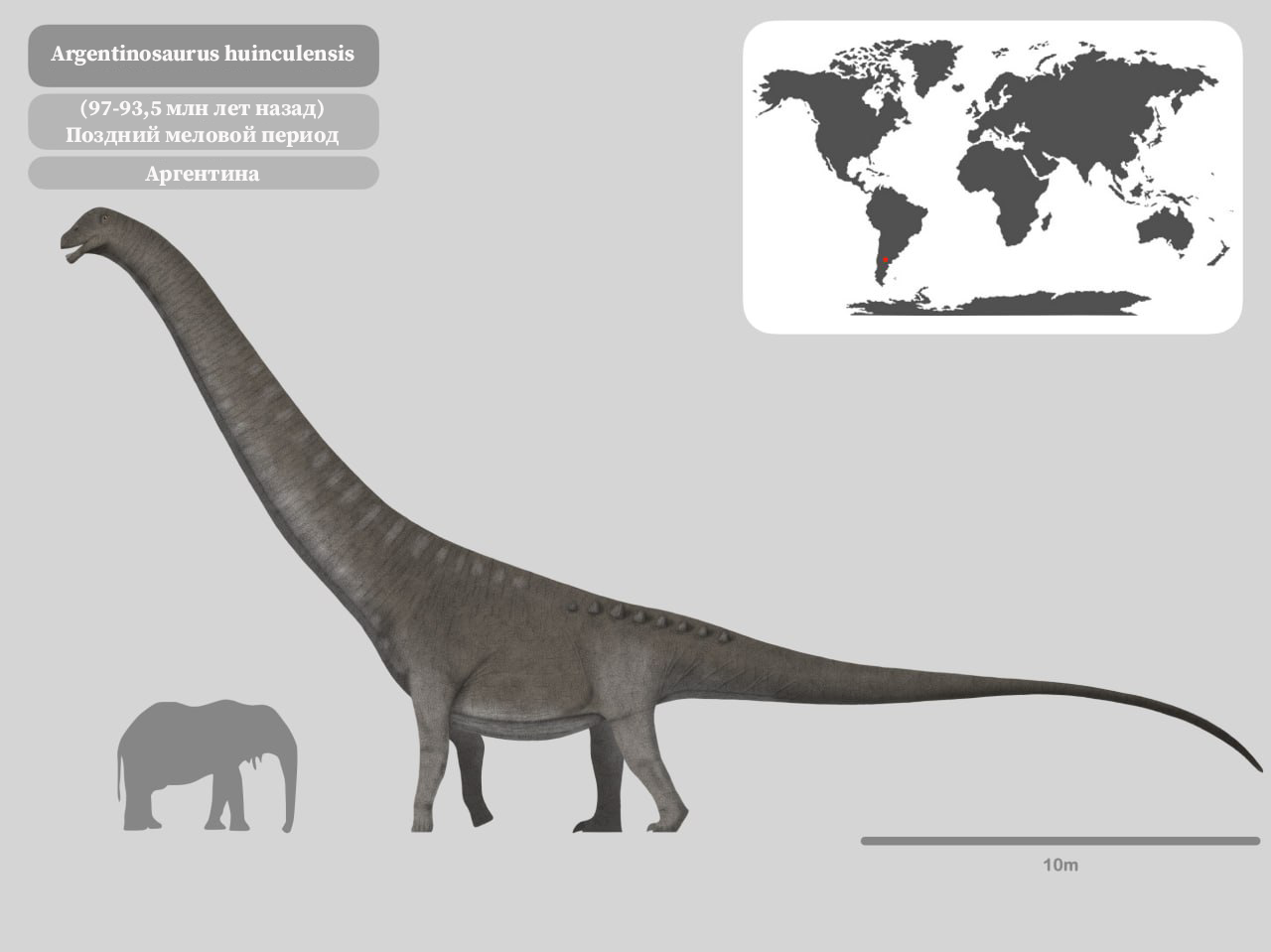 Age of dinosaurs. Part 1 - My, Paleontology, Evolution, Animals, Nauchpop, Dinosaurs, Mesozoic, Longpost