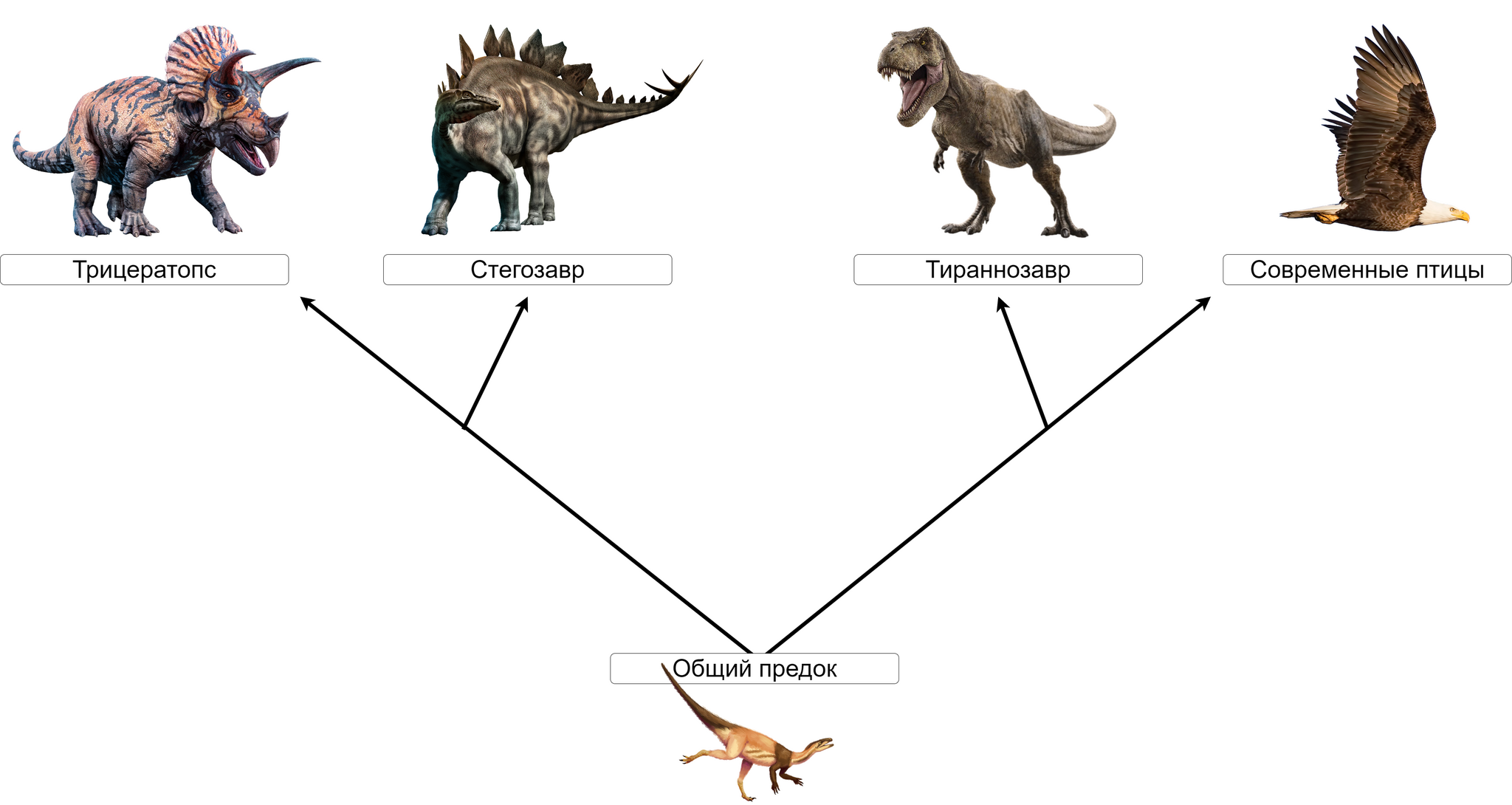 Age of dinosaurs. Part 1 - My, Paleontology, Evolution, Animals, Nauchpop, Dinosaurs, Mesozoic, Longpost