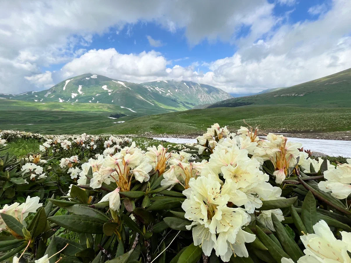 Плато Лаго-Наки. Кавказский заповедник - Моё, Фотография, Горный туризм, Поход, Палатка, Отдых на природе, Скалы, Горы, Кавказ, Плато Лаго-Наки, Озеро, Альпийские луга, Пеший туризм, Природа, Природа России, Республика Адыгея, Длиннопост