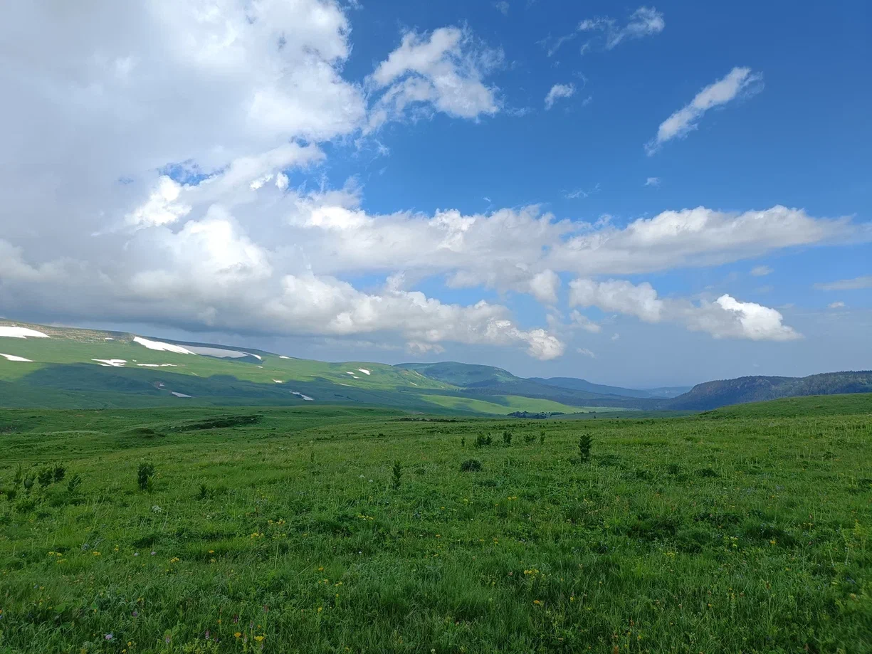 Плато Лаго-Наки. Кавказский заповедник | Пикабу