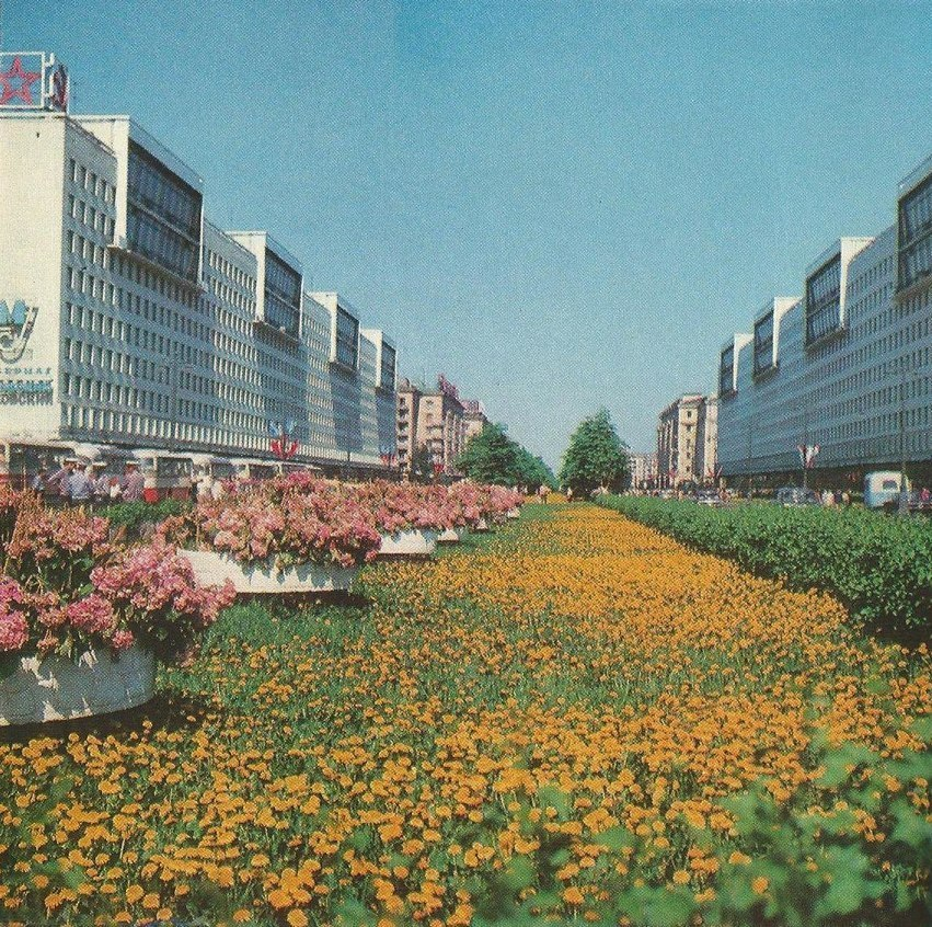 Moskovsky Avenue in Leningrad, USSR, 1972 - Leningrad, Moscow avenue, the USSR, Telegram (link), Made in USSR, Childhood in the USSR, Retro, Flowers, Heat, Summer, Film, 70th, Old photo